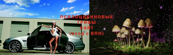 молекула духа Алзамай