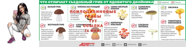 ПСИЛОЦИБИНОВЫЕ ГРИБЫ Алексин