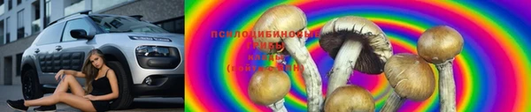 молекула духа Алзамай