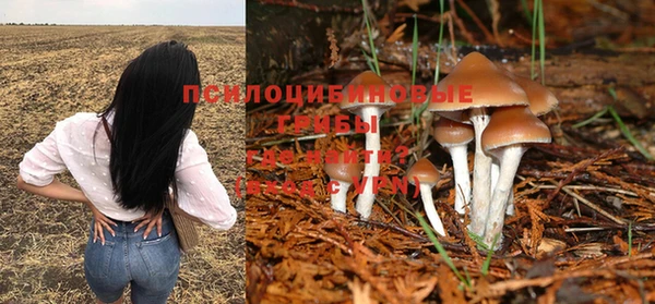 молекула духа Алзамай