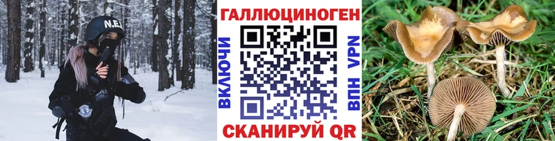 MEGA ссылка  Кольчугино  Псилоцибиновые грибы Psilocybe  где купить наркоту 