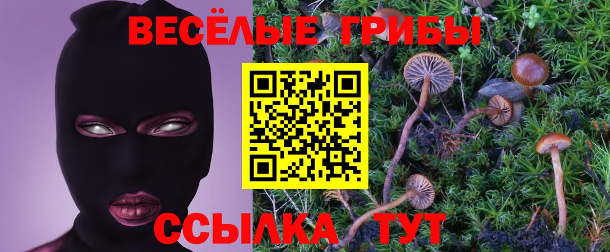 Псилоцибиновые грибы GOLDEN TEACHER  Галлюциногенные грибы Psilocybe  Кольчугино  Вход с VPN 